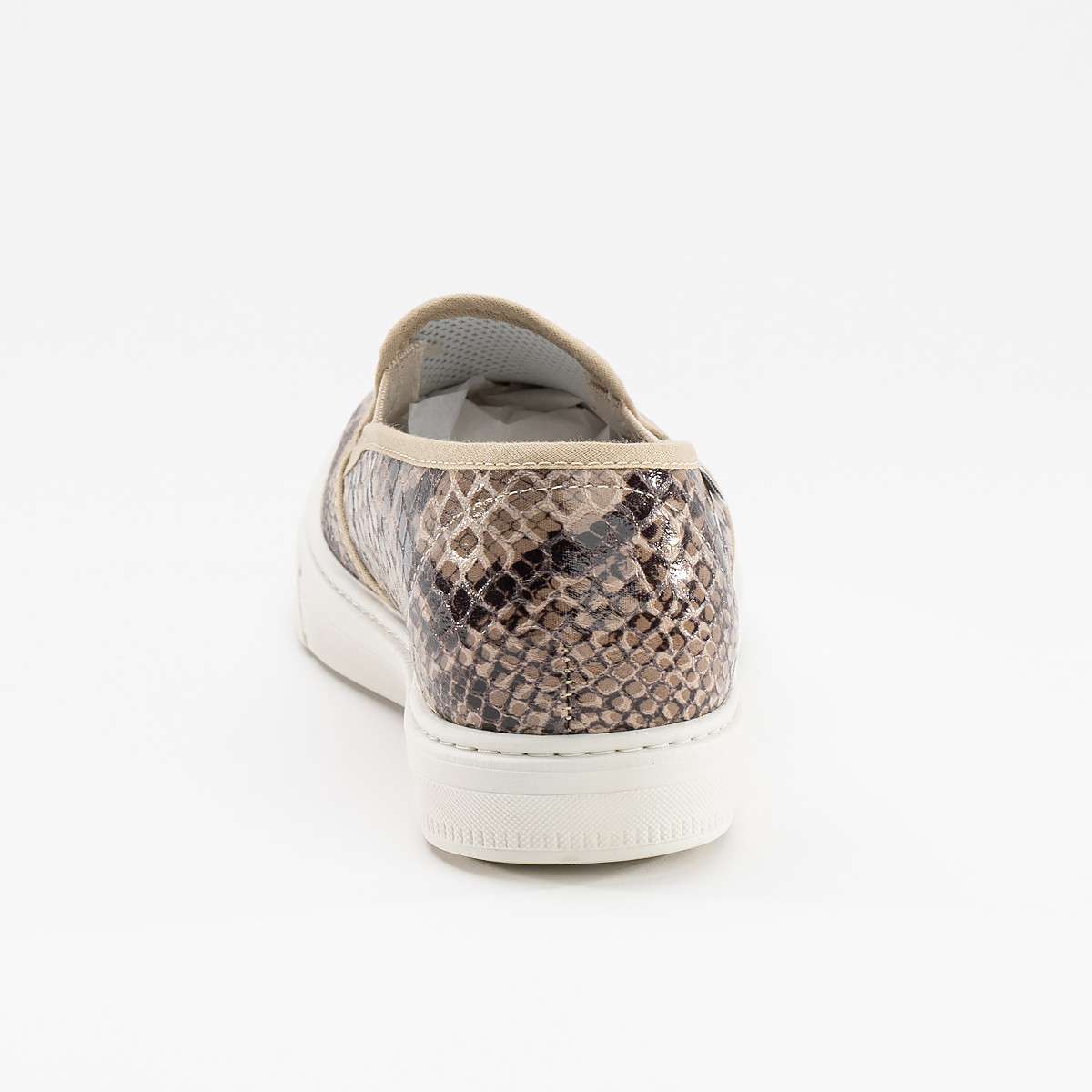 Art. 1780 Marasso S2Y GOOD - Image 5